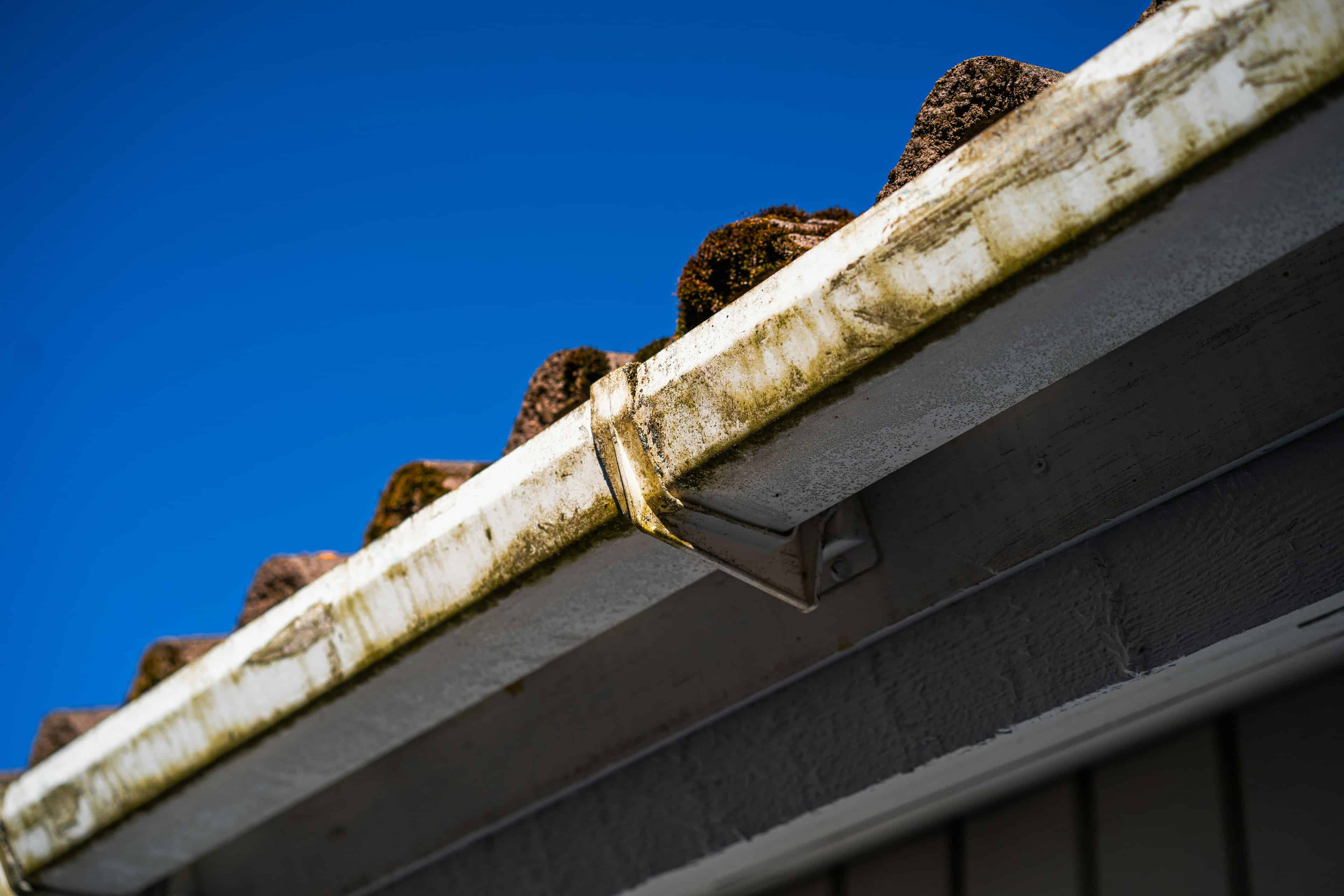 Gutter Installation & Repair image