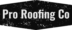 Pro Roofing And Construction LLC Logo